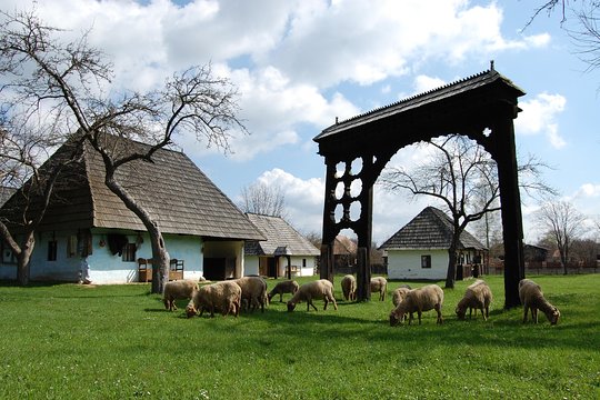 Tour image 1