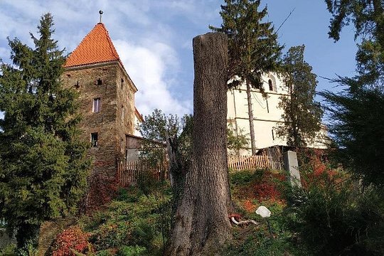 Tour image 6