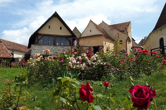 Tour image 6
