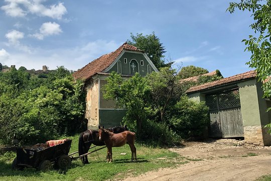 Tour image 6