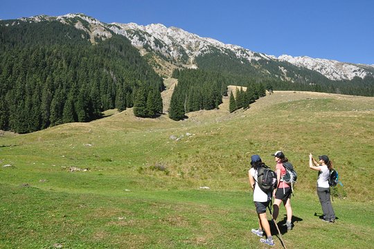 Tour image 12
