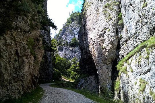Tour image 5