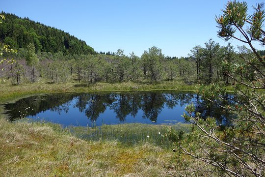 Tour image 11