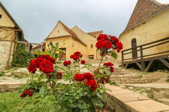 Tour image 10