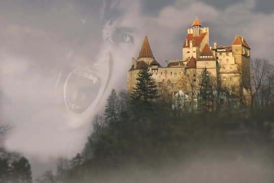 Tour image 1
