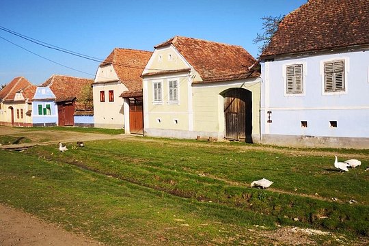 Tour image 8