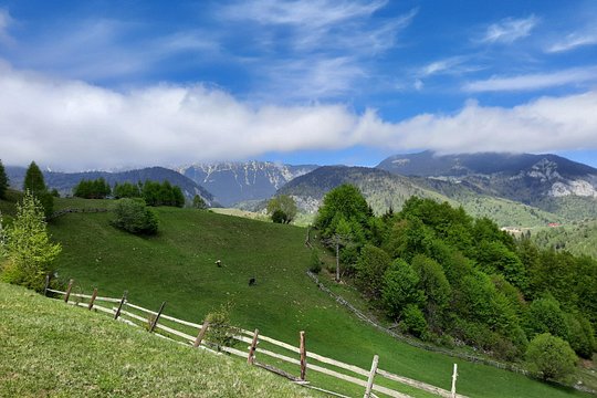 Tour image 9