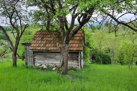 Tour image 10