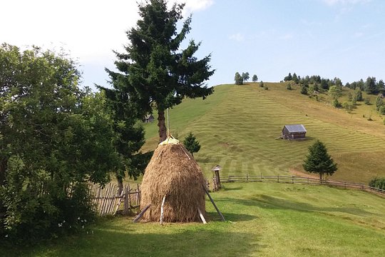 Tour image 11