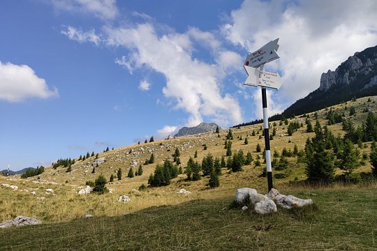 Tour image 11