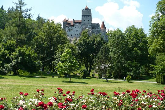 Tour image 9