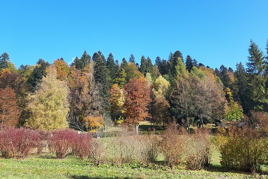 Tour image 6