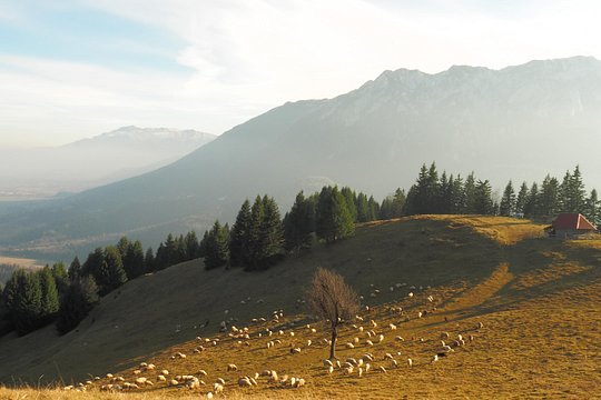 Tour image 14