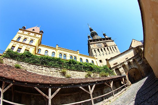 Tour image 9