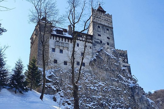 Tour image 5