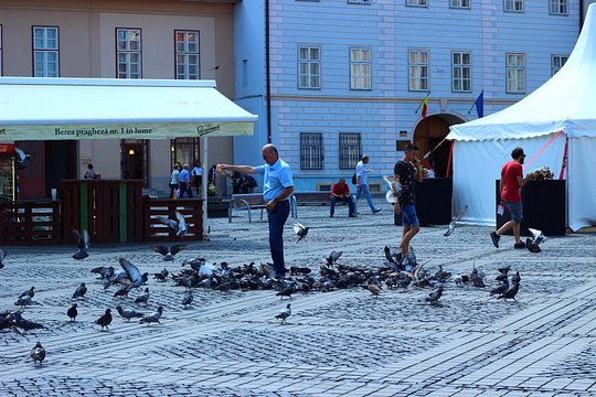 Tour image 6