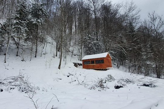 Tour image 4