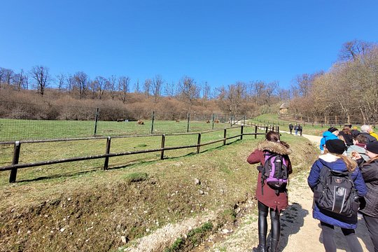 Tour image 5