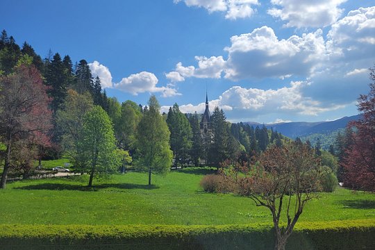 Tour image 11