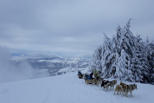 Tour image 3