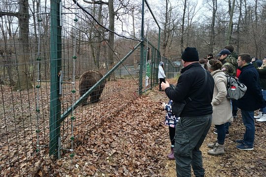 Tour image 3