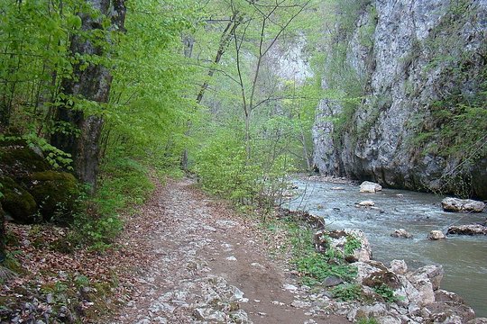 Tour image 6