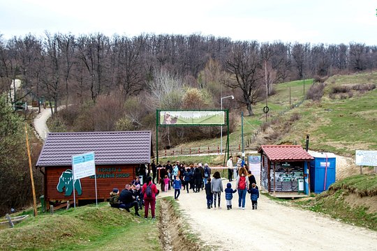 Tour image 13
