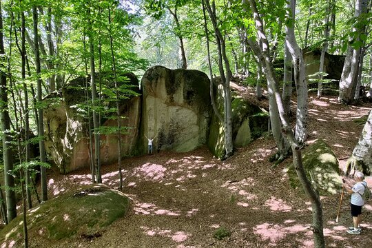 Tour image 5