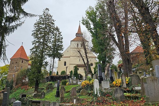 Tour image 12